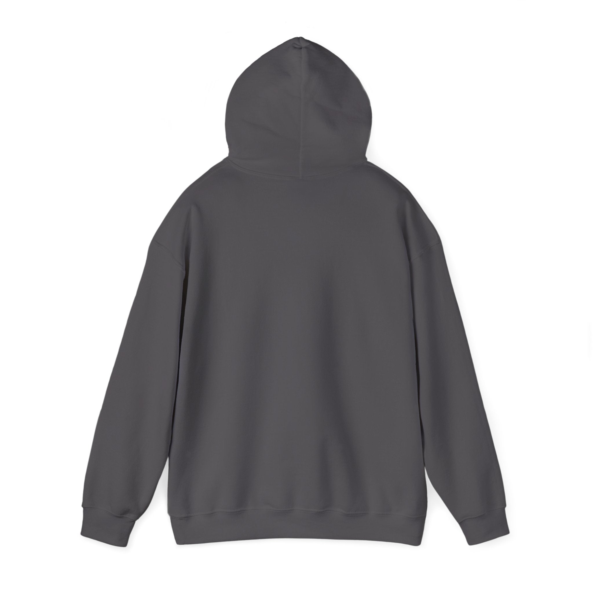 IDC Logo Hoodie
